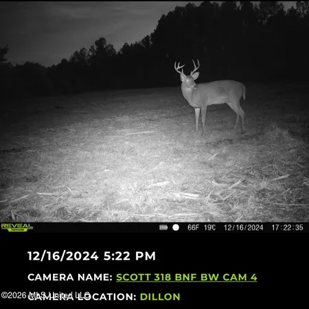 $150,000 | 6 Forest Service Road 562, Pulaski, MS 39152