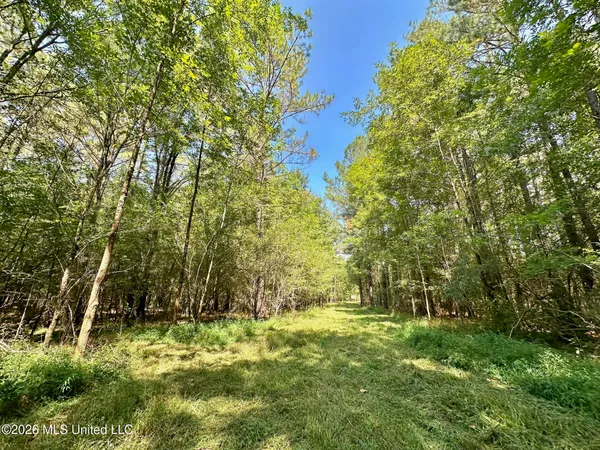 $150,000 | 6 Forest Service Road 562, Pulaski, MS 39152