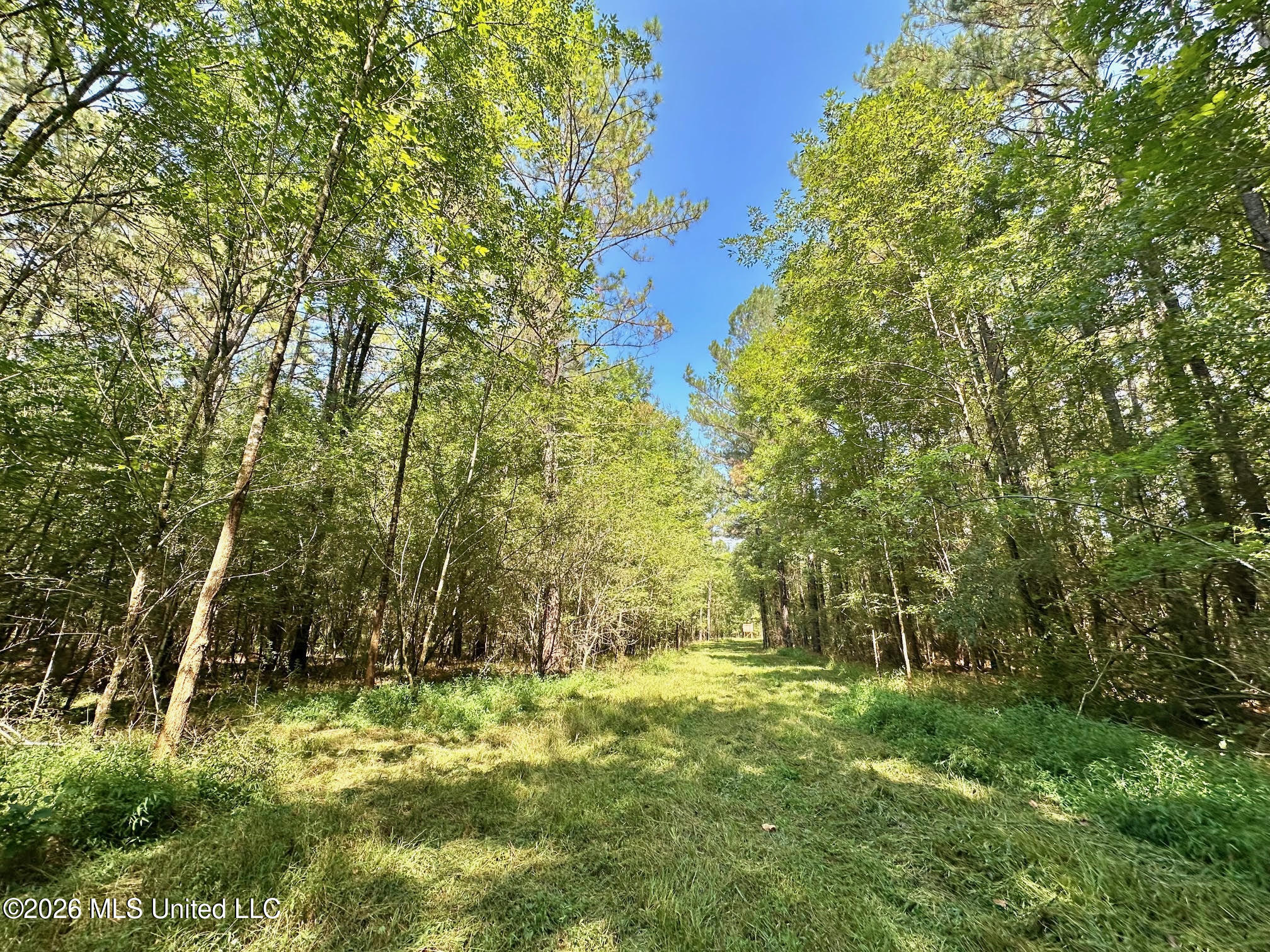 6 Forest Service Road 562 Pulaski, MS 39152 - Photo 5 of 18 209