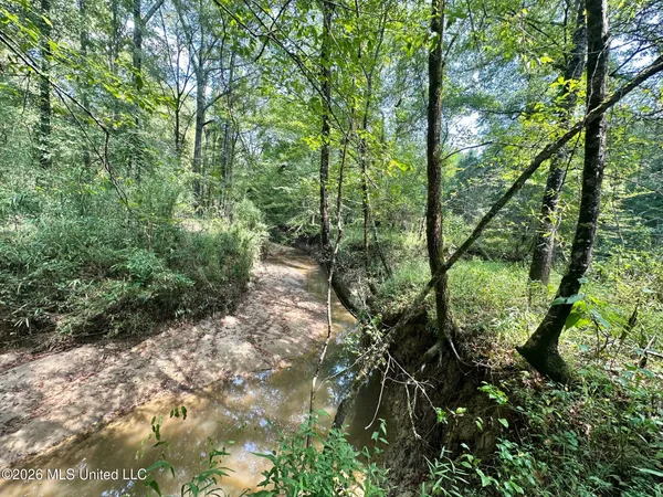 $150,000 | 6 Forest Service Road 562, Pulaski, MS 39152
