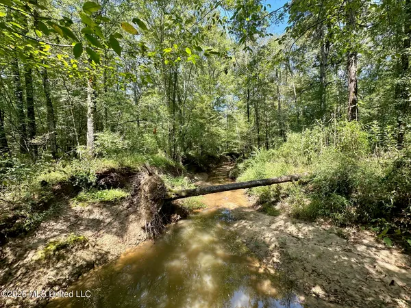 $150,000 | 6 Forest Service Road 562, Pulaski, MS 39152