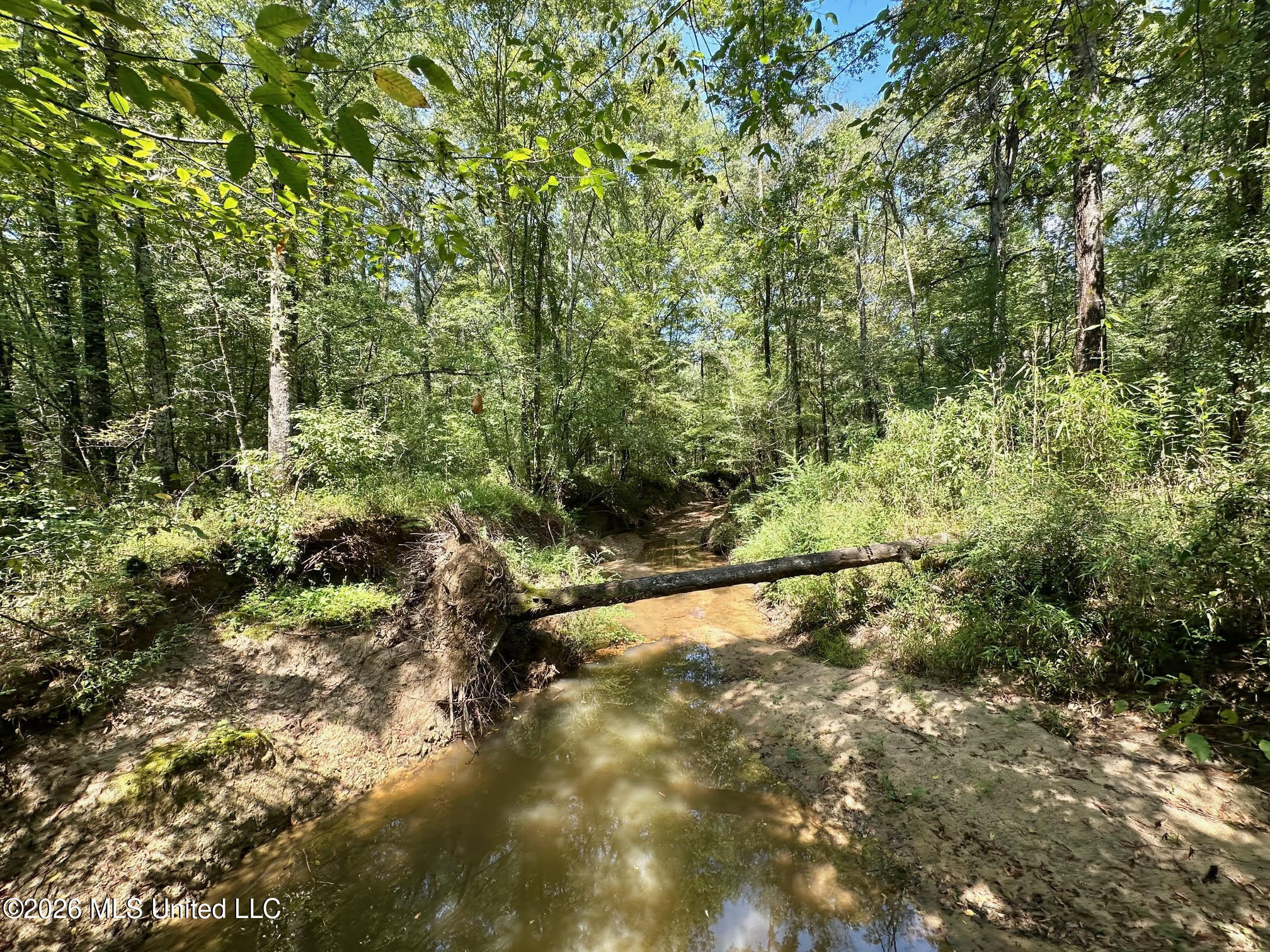 6 Forest Service Road 562 Pulaski, MS 39152 - Photo 8 of 18 233