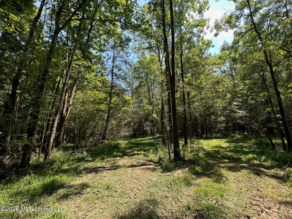 $150,000 | 6 Forest Service Road 562, Pulaski, MS 39152