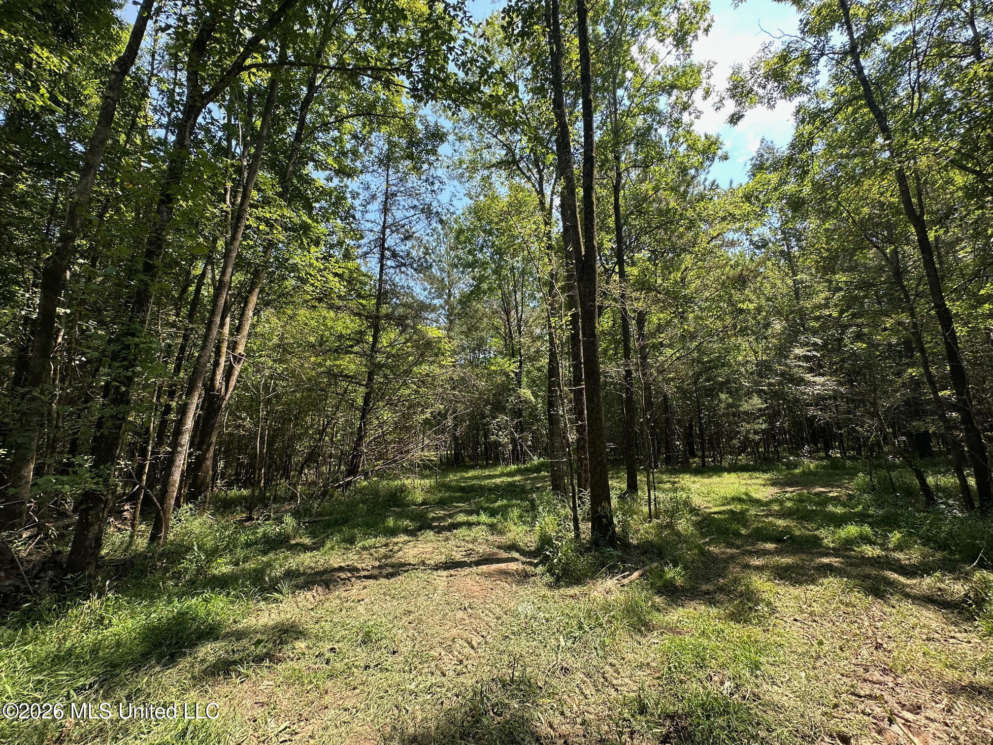 6 Forest Service Road 562 Pulaski, MS 39152 - Photo 10 of 18 237