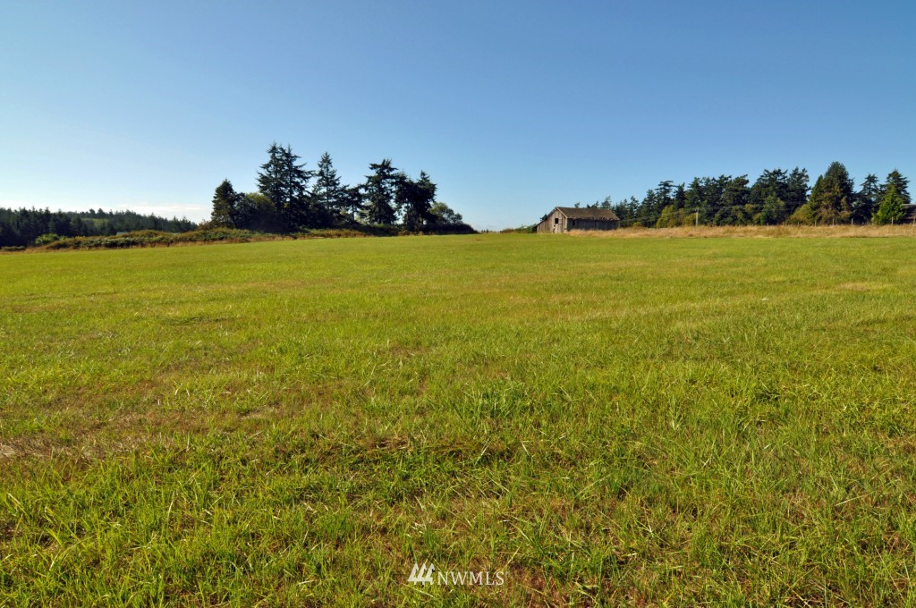 603 Richardson Road Lopez Island, WA 98261 - Photo 16 of 23 Gallery Image 16