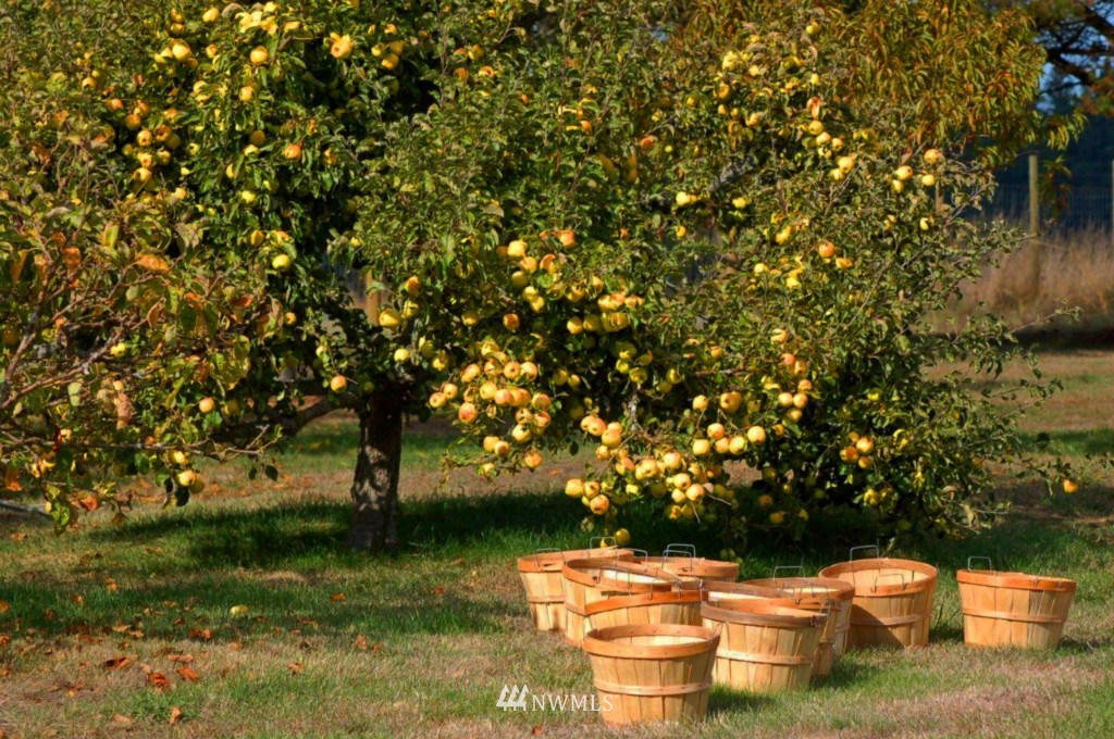 603 Richardson Road Lopez Island, WA 98261 - Photo 17 of 23 Gallery Image 17