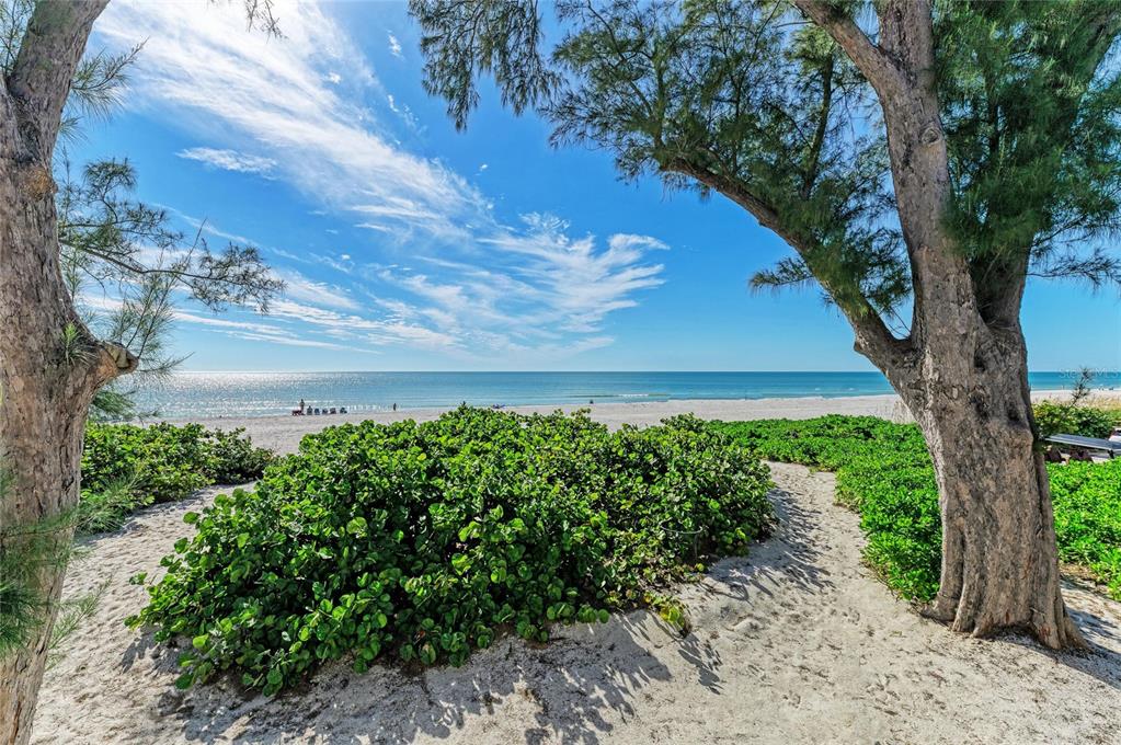 101 73rd Street, Unit 3 Holmes Beach, FL 34217 - Photo 39 of 53 a view of backyard with green space