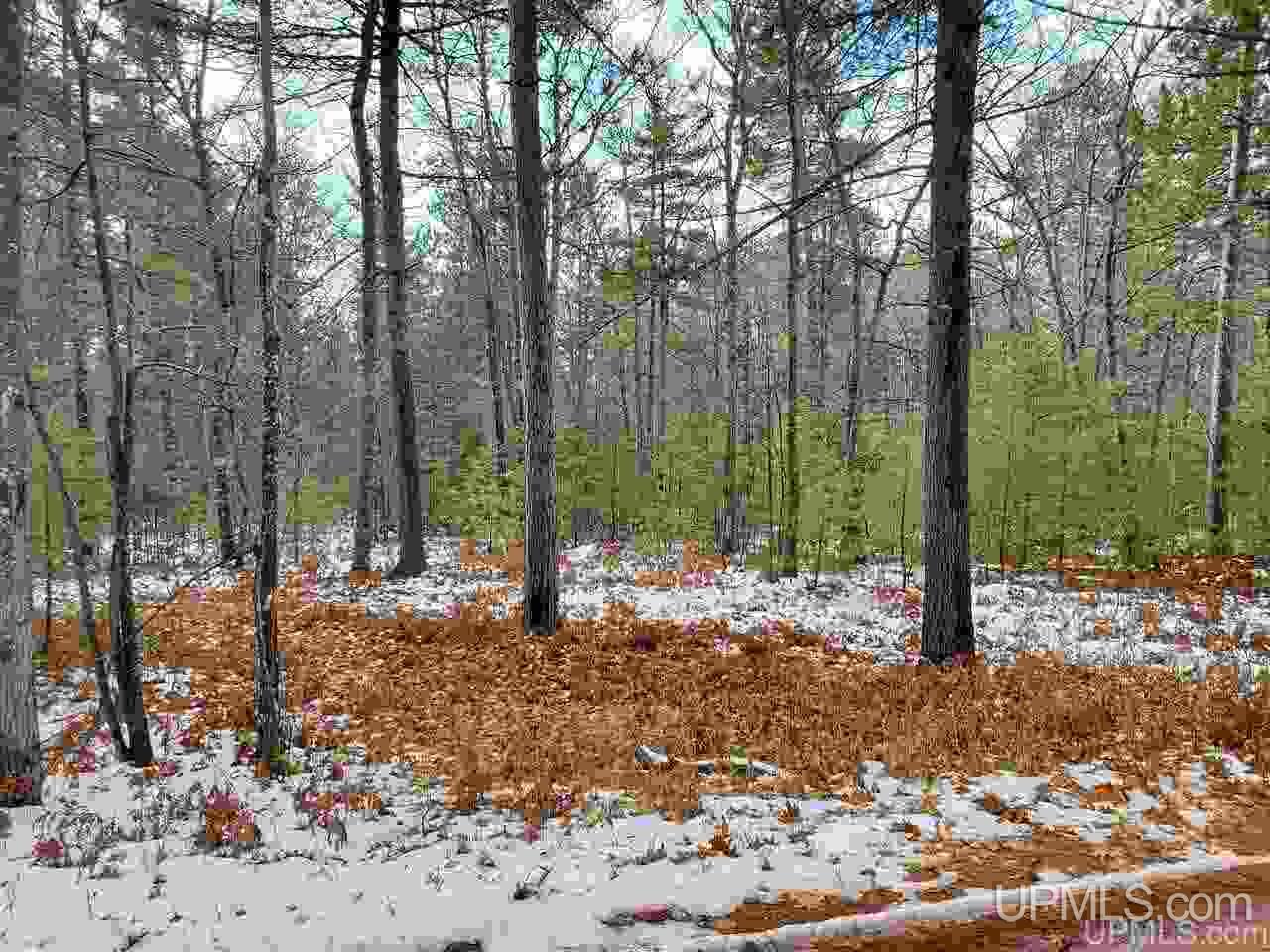 11.64 Acres Co Road Marquette, MI 49855 - Photo 6 of 8