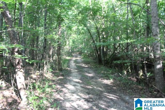 1 Benefield Gap Road Attalla, AL 35954 - Photo 7 of 50