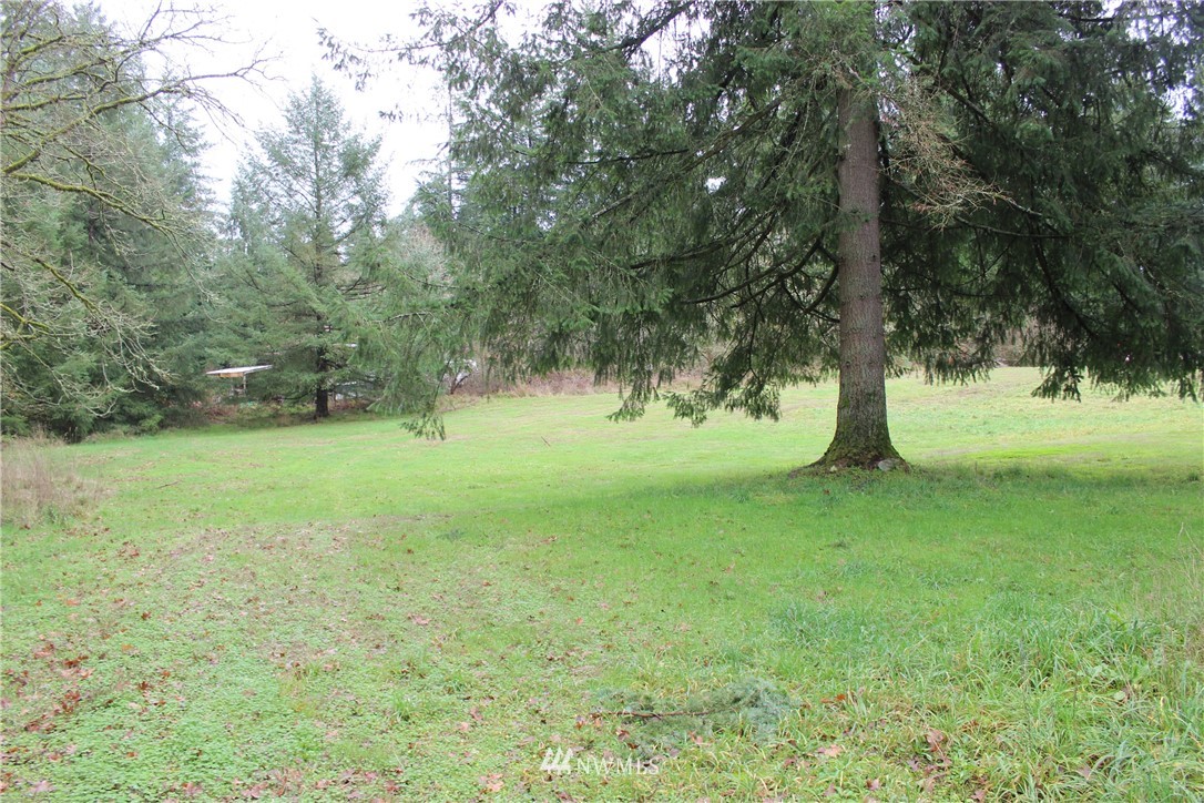 17133 Sargent Road Southwest Rochester, WA 98579 - Photo 2 of 14 a view of grassy field with trees