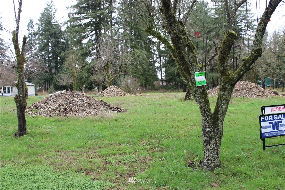 17133 Sargent Road Southwest Rochester, WA 98579 - Photo 12 of 14 a view of a backyard