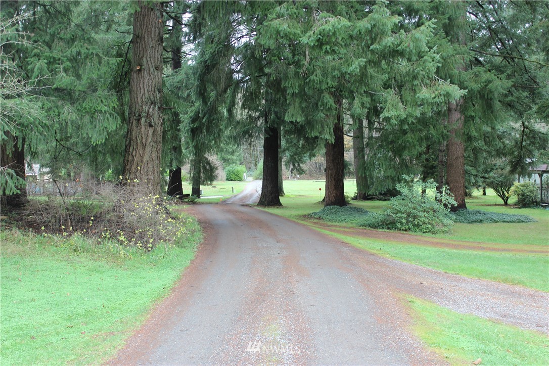 17133 Sargent Road Southwest Rochester, WA 98579 - Photo 14 of 14 a view of a street with a yard and large trees