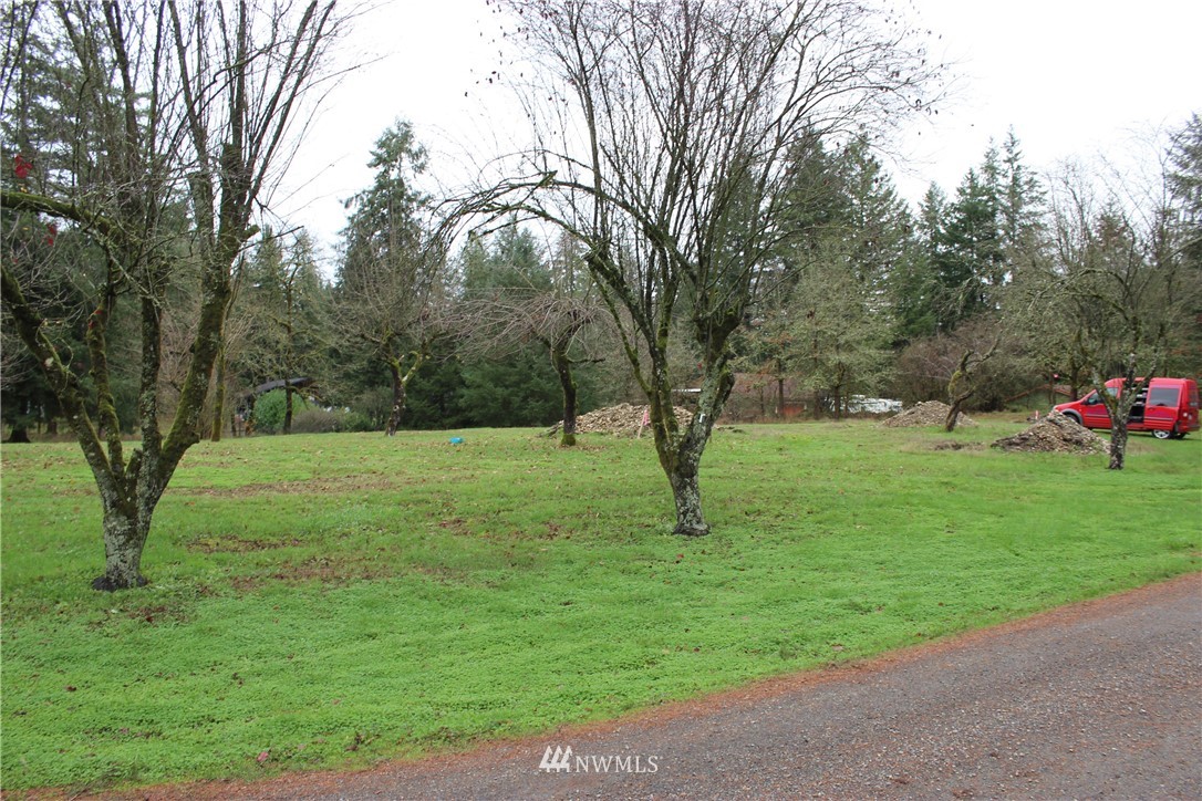 17133 Sargent Road Southwest Rochester, WA 98579 - Photo 3 of 14 a view of yard with green space