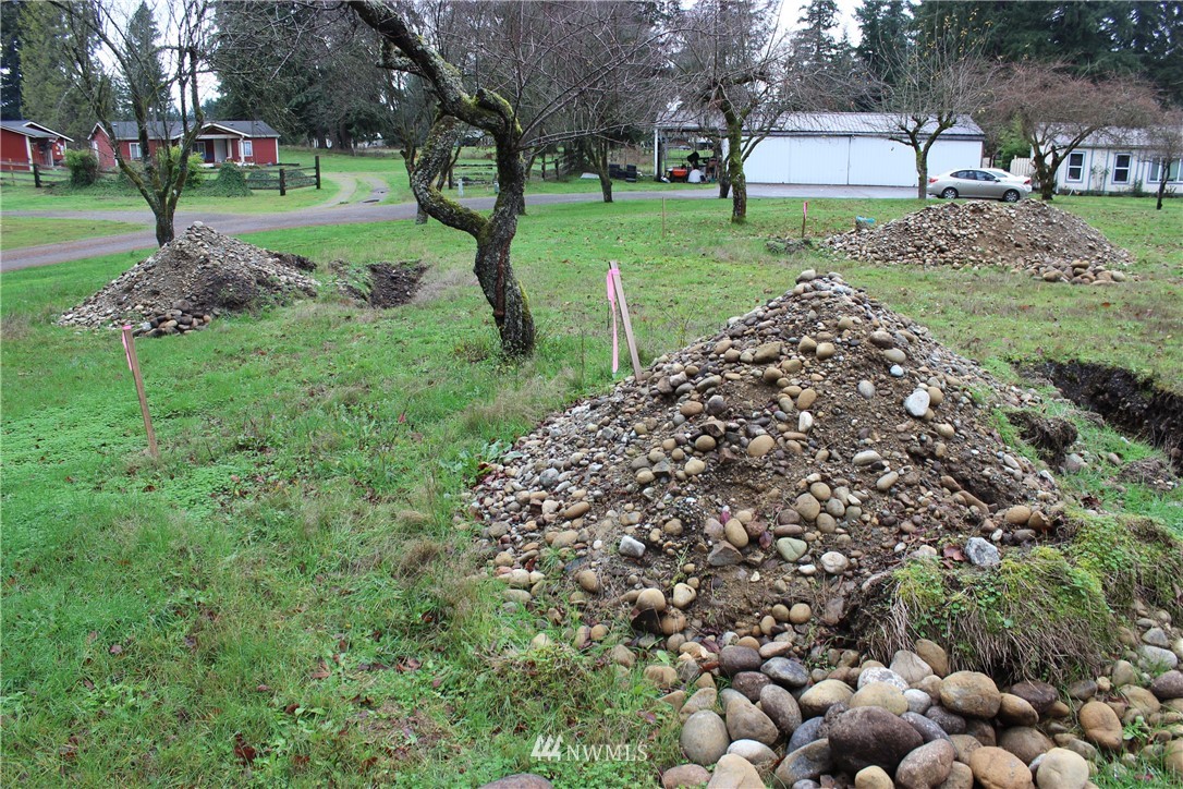 17133 Sargent Road Southwest Rochester, WA 98579 - Photo 6 of 14 a view of a park with large trees
