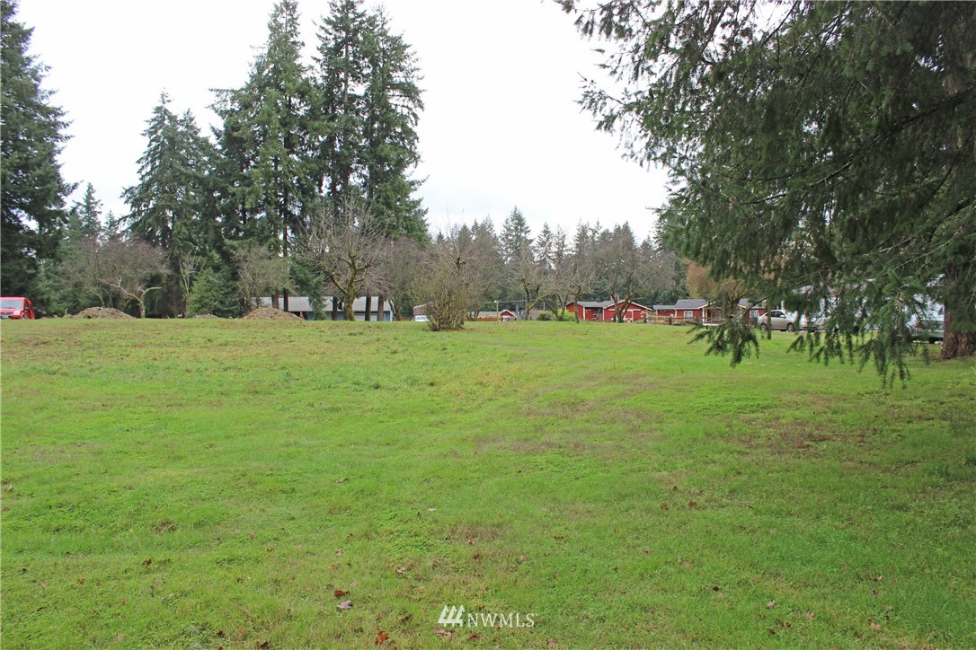 17133 Sargent Road Southwest Rochester, WA 98579 - Photo 8 of 14 a view of grassy field with trees