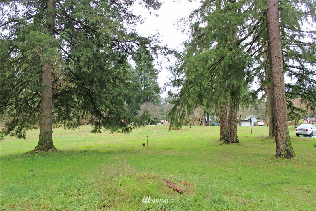 17133 Sargent Road Southwest Rochester, WA 98579 - Photo 9 of 14 a view of outdoor space with trees all around