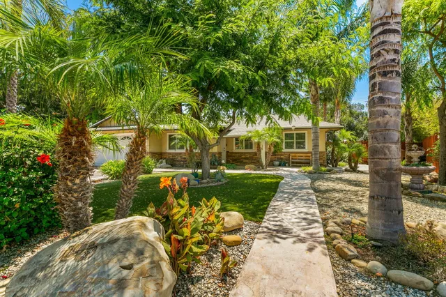 a view of a yard with plants and large trees