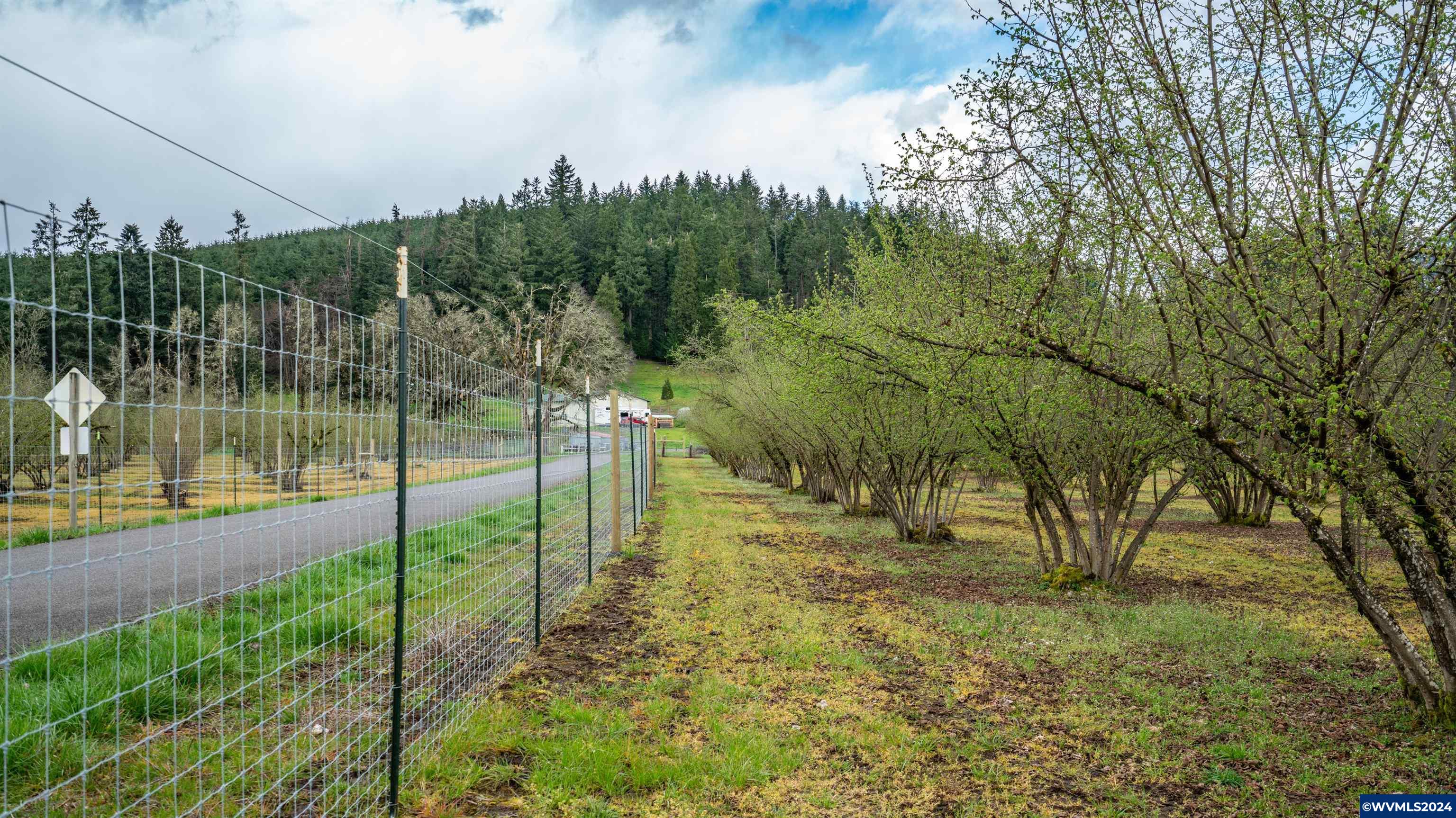 37082 Goats Road Springfield, OR 97478 - Photo 30 of 35