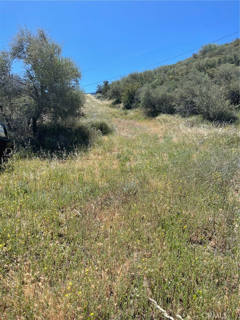 48910 Twin Pines Road Banning, CA 92220 - Photo 1 of 11 a view of a yard with a tree