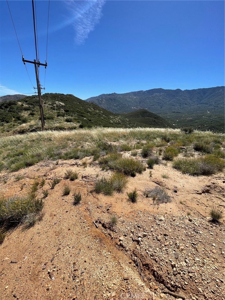 48910 Twin Pines Road Banning, CA 92220 - Photo 8 of 11 a view of a yard