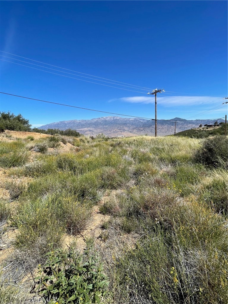 48910 Twin Pines Road Banning, CA 92220 - Photo 9 of 11