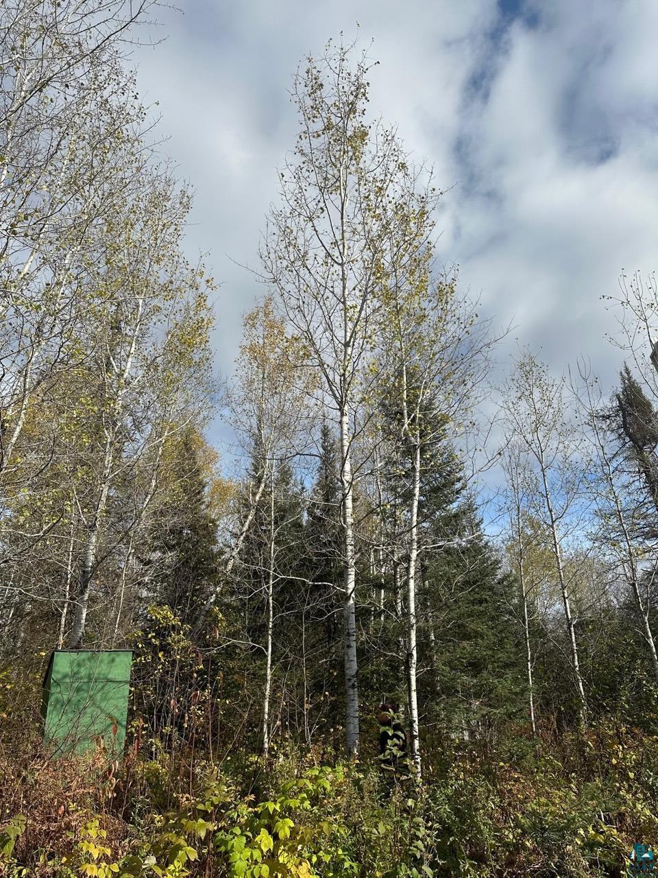 7064 Cramer Road Finland, MN 55603 - Photo 8 of 8