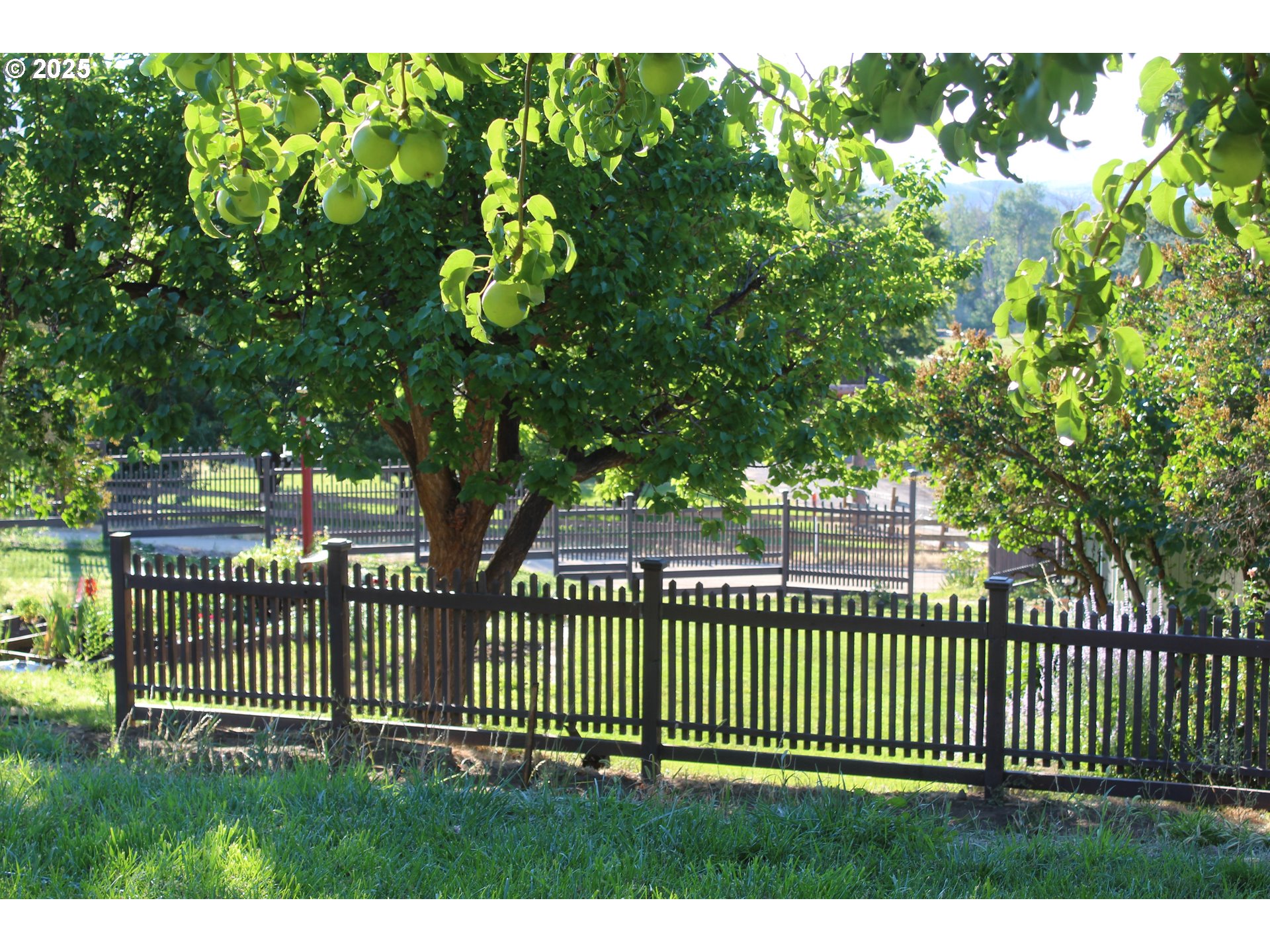 43580 Old Foothill Road Richland, OR 97870 - Photo 25 of 33