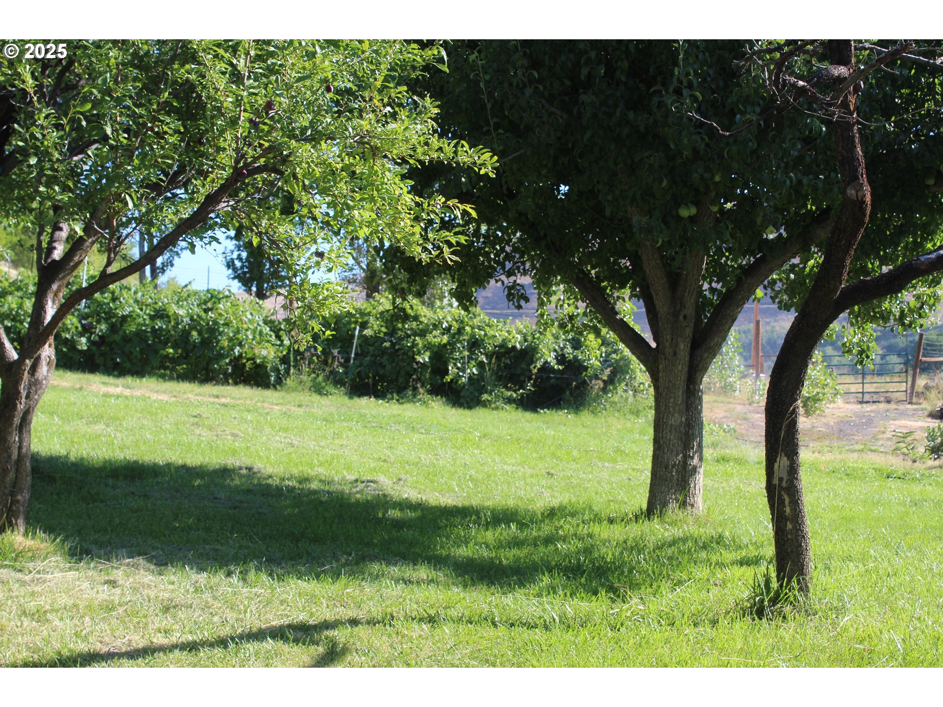 43580 Old Foothill Road Richland, OR 97870 - Photo 26 of 33 a view of outdoor space with yard