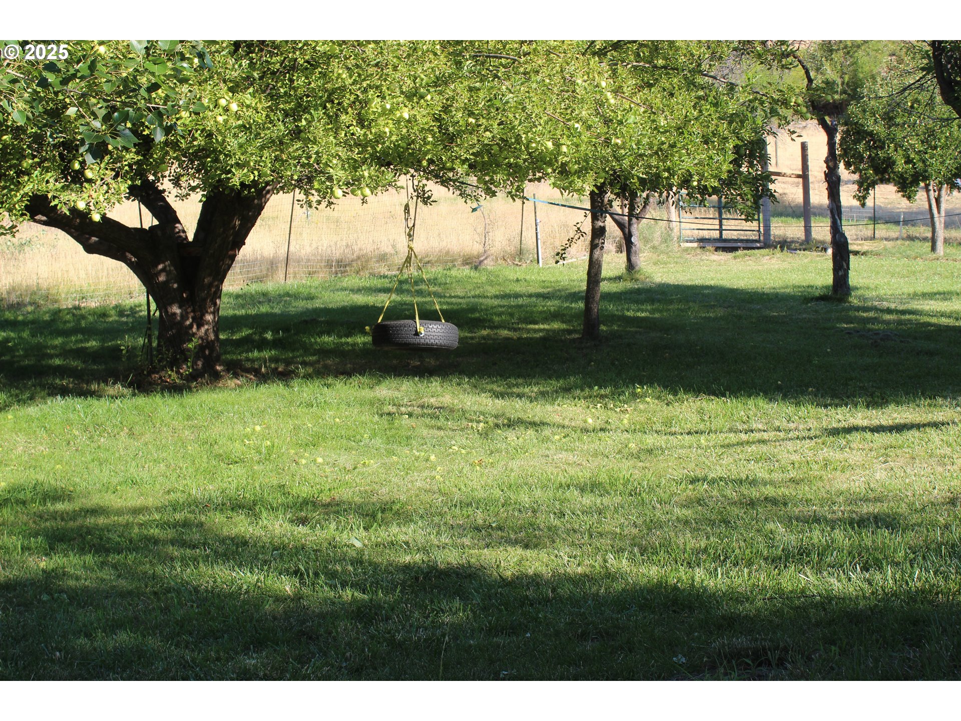 43580 Old Foothill Road Richland, OR 97870 - Photo 27 of 33 a view of grassy field with trees