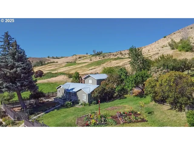 a backyard of a house with potted plants and a tree