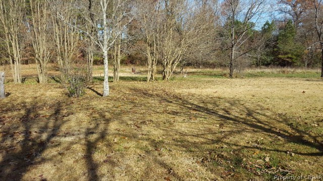 85 Maon Road Farnham, VA 22460 - Photo 16 of 18