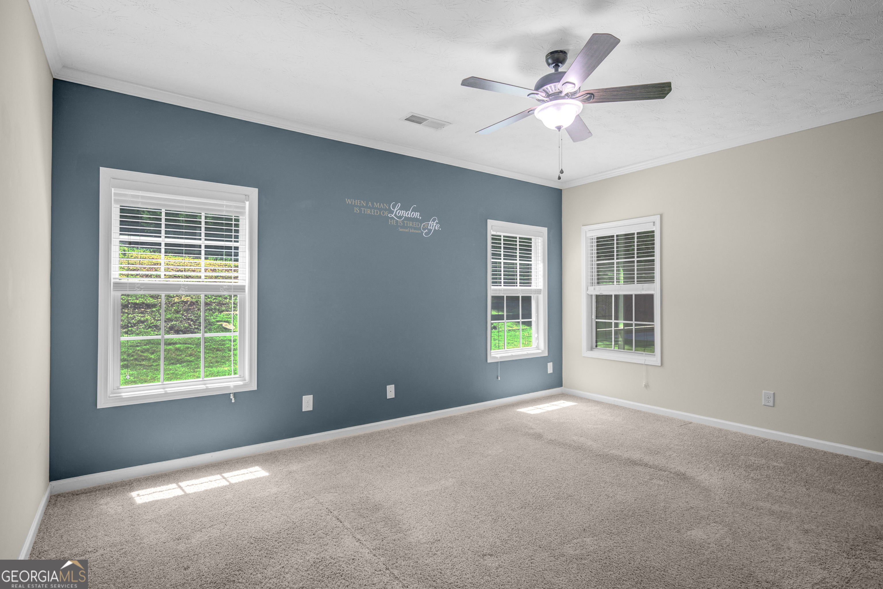 175 Spring Circle Senoia, GA 30276 - Photo 23 of 46