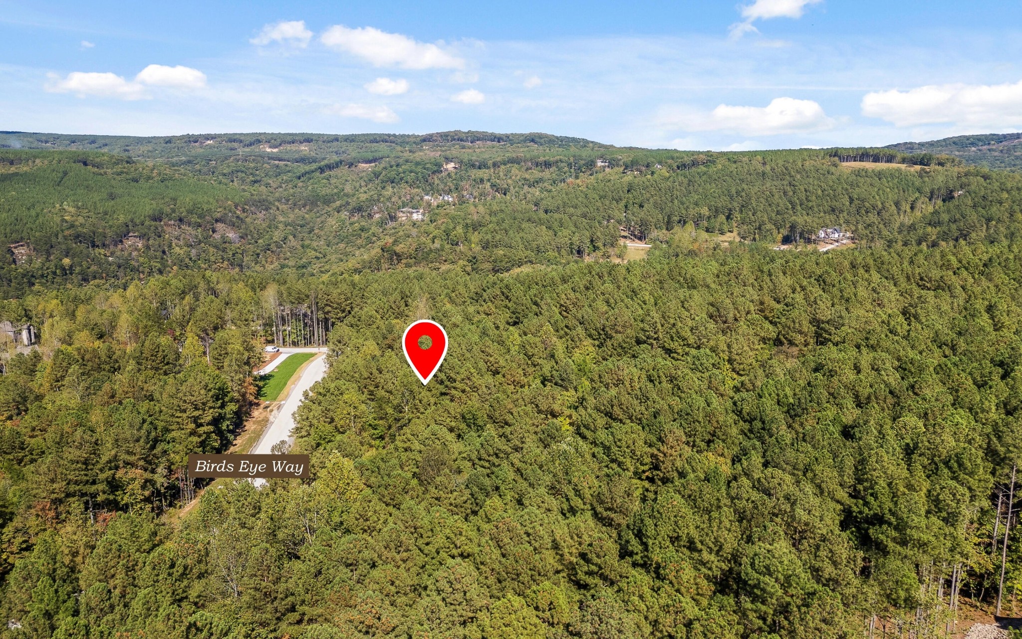 1110 Birds Eye Way Guild, TN 37340 - Photo 10 of 29 Gallery Image 10
