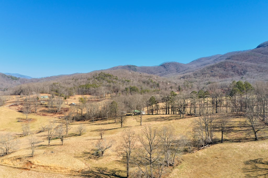 1780 Hunnicut Road Hiawassee, GA 30546 - Photo 39 of 40 Gallery Image 39