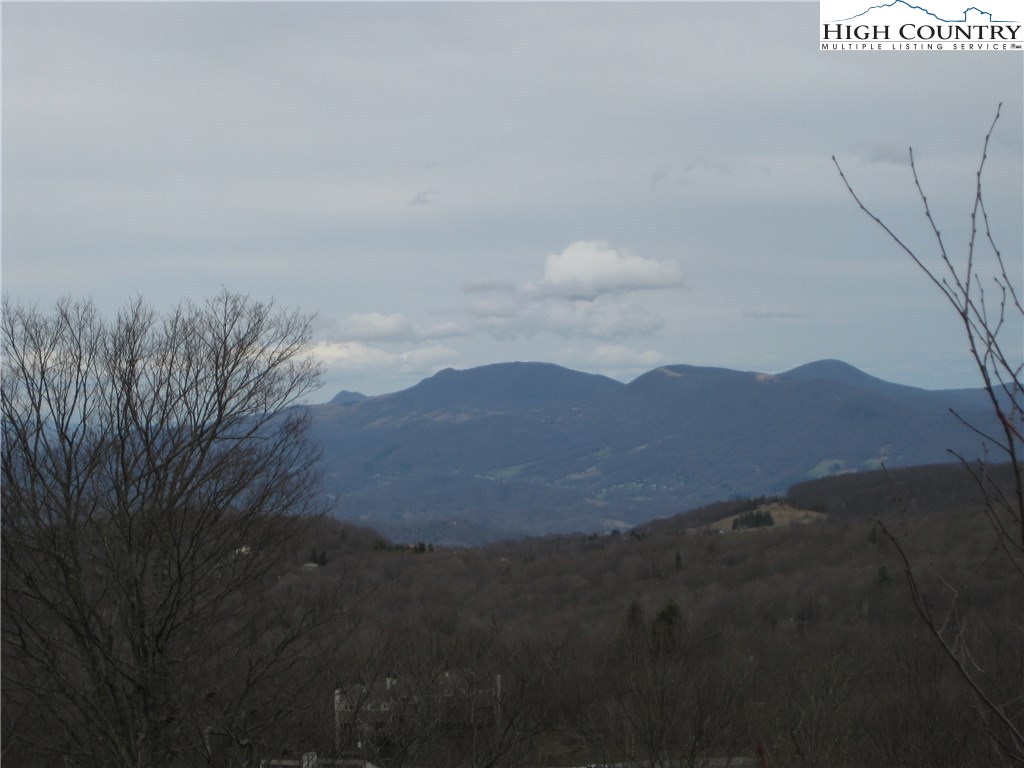 39 The Slopes Road, Unit 39 Beech Mountain, NC 28604 - Photo 3 of 16 Gallery Image 3