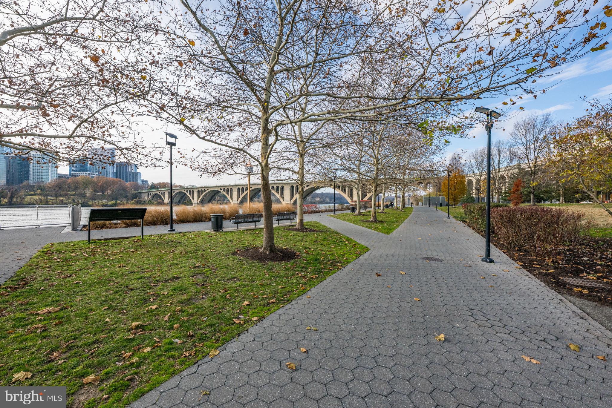3303 Water Street Northwest, Unit 7E Washington, DC 20007 - Photo 25 of 29 a view of a park with large trees