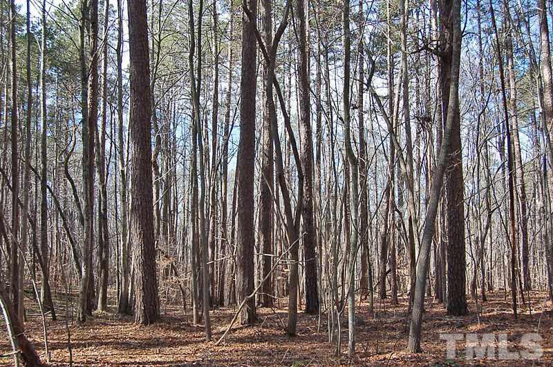 1 Tom Webb Roxboro, NC 27574 - Photo 16 of 18 Gallery Image 16