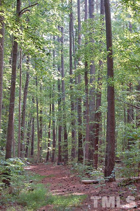 1 Tom Webb Roxboro, NC 27574 - Photo 18 of 18 Gallery Image 18