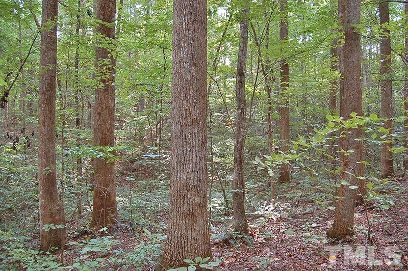 1 Tom Webb Roxboro, NC 27574 - Photo 8 of 18 Gallery Image 8