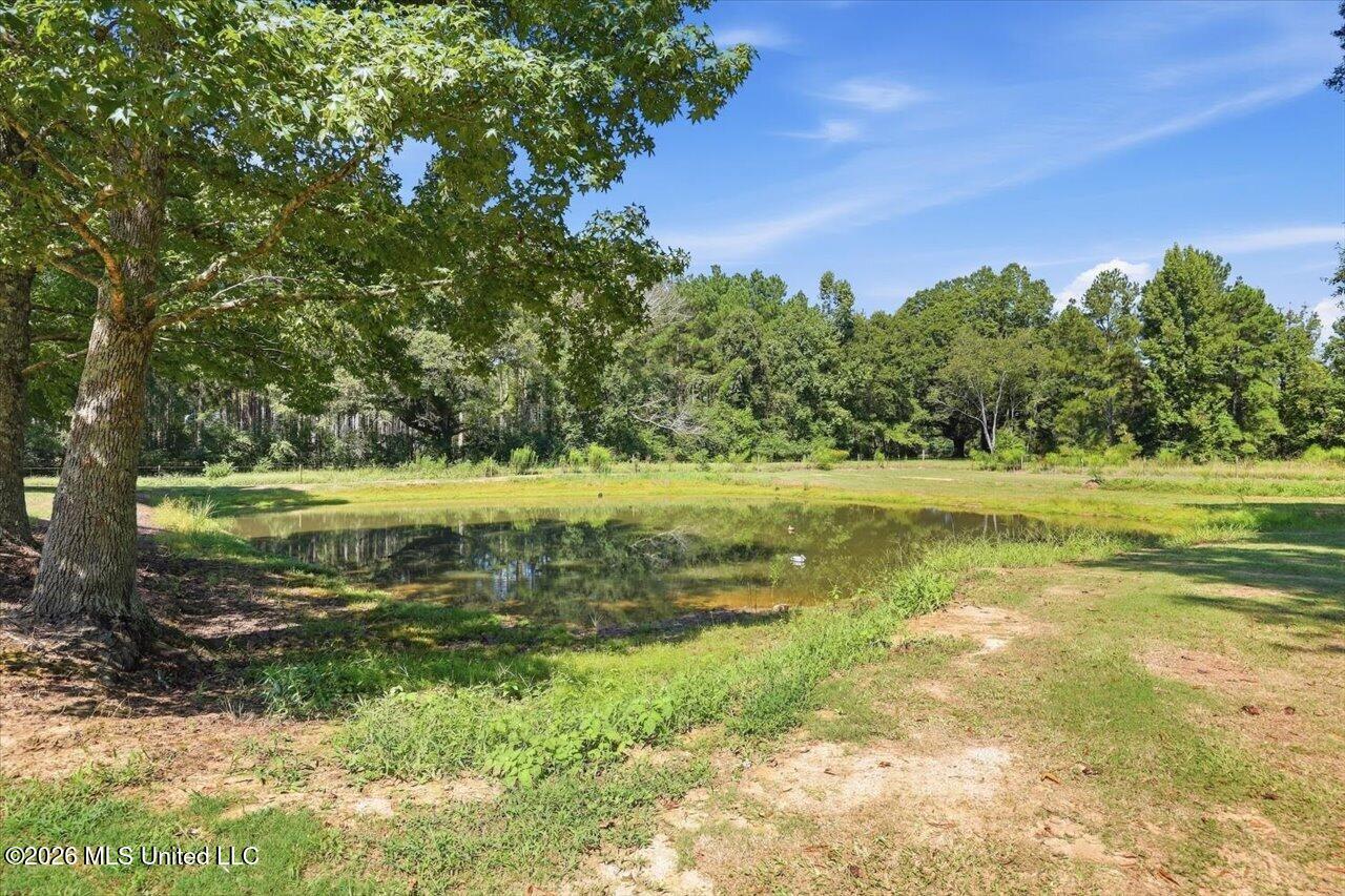 120 Anse Reed Road Magee, MS 39111 - Photo 53 of 85 054-120 Anse Reed Rd _ www.hometoursms.c