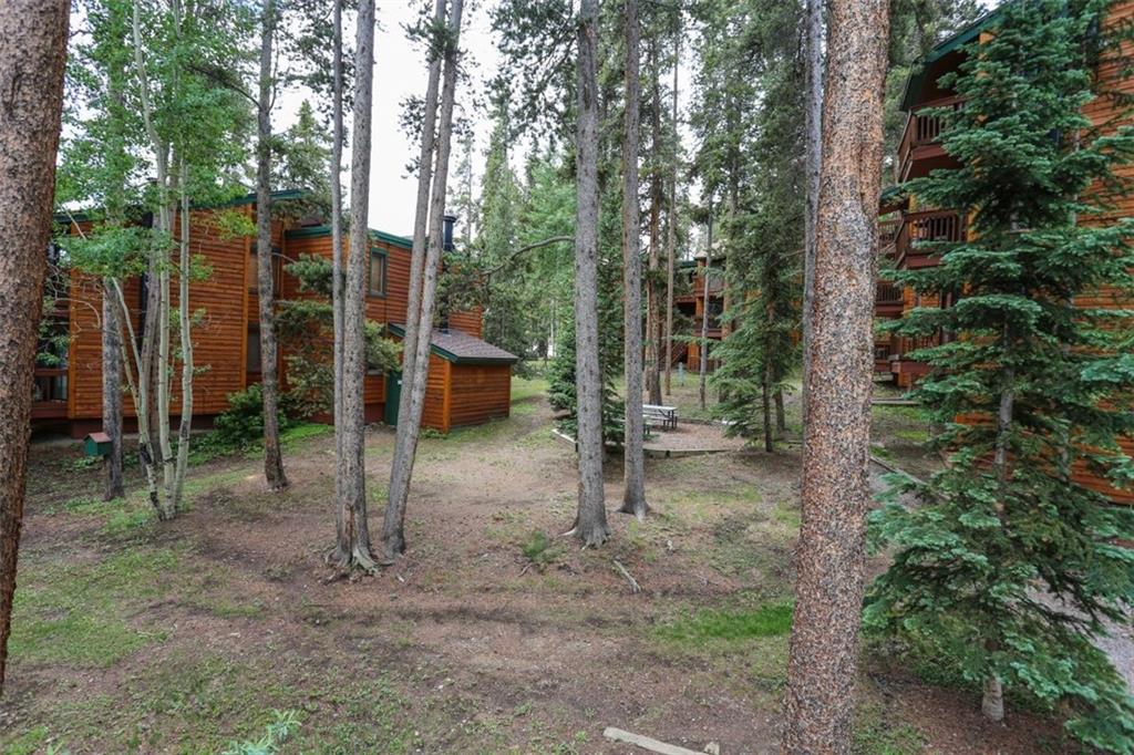 1080 Ski Hill Road, Unit 9 Breckenridge, CO 80424 - Photo 20 of 25 a view of a covered with trees