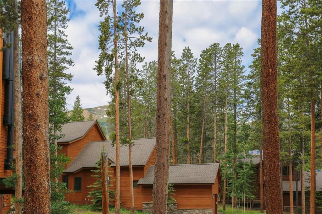 1080 Ski Hill Road, Unit 9 Breckenridge, CO 80424 - Photo 21 of 25 a view of a city from a balcony