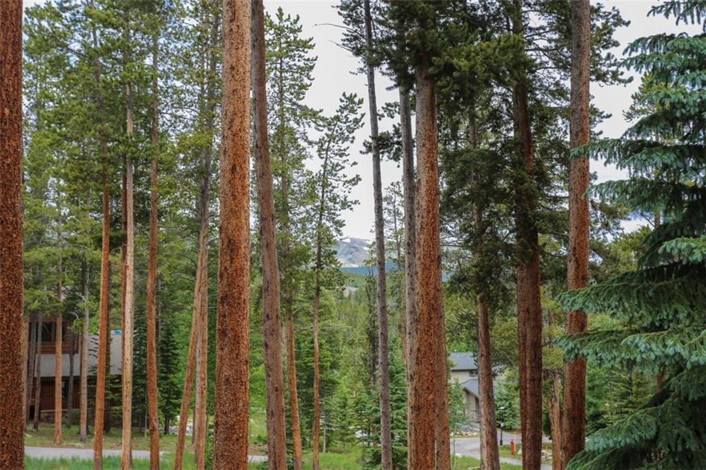 1080 Ski Hill Road, Unit 9 Breckenridge, CO 80424 - Photo 22 of 25 a view of a forest from balcony