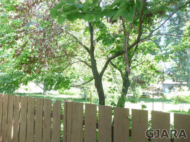 2721 Patterson Road, Unit 402 Grand Junction, CO 81506 - Photo 15 of 22 a view of a street with a tree