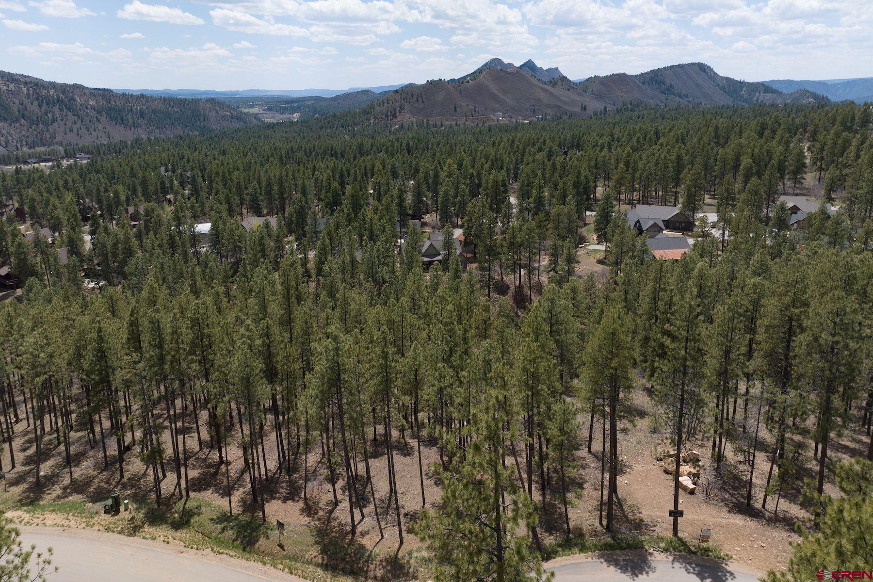 1091 Red Canyon Trail Durango, CO 81301 - Photo 11 of 24 a view of a town with mountains in the background