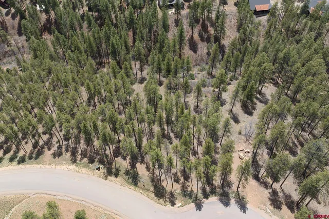 a view of a yard of a house