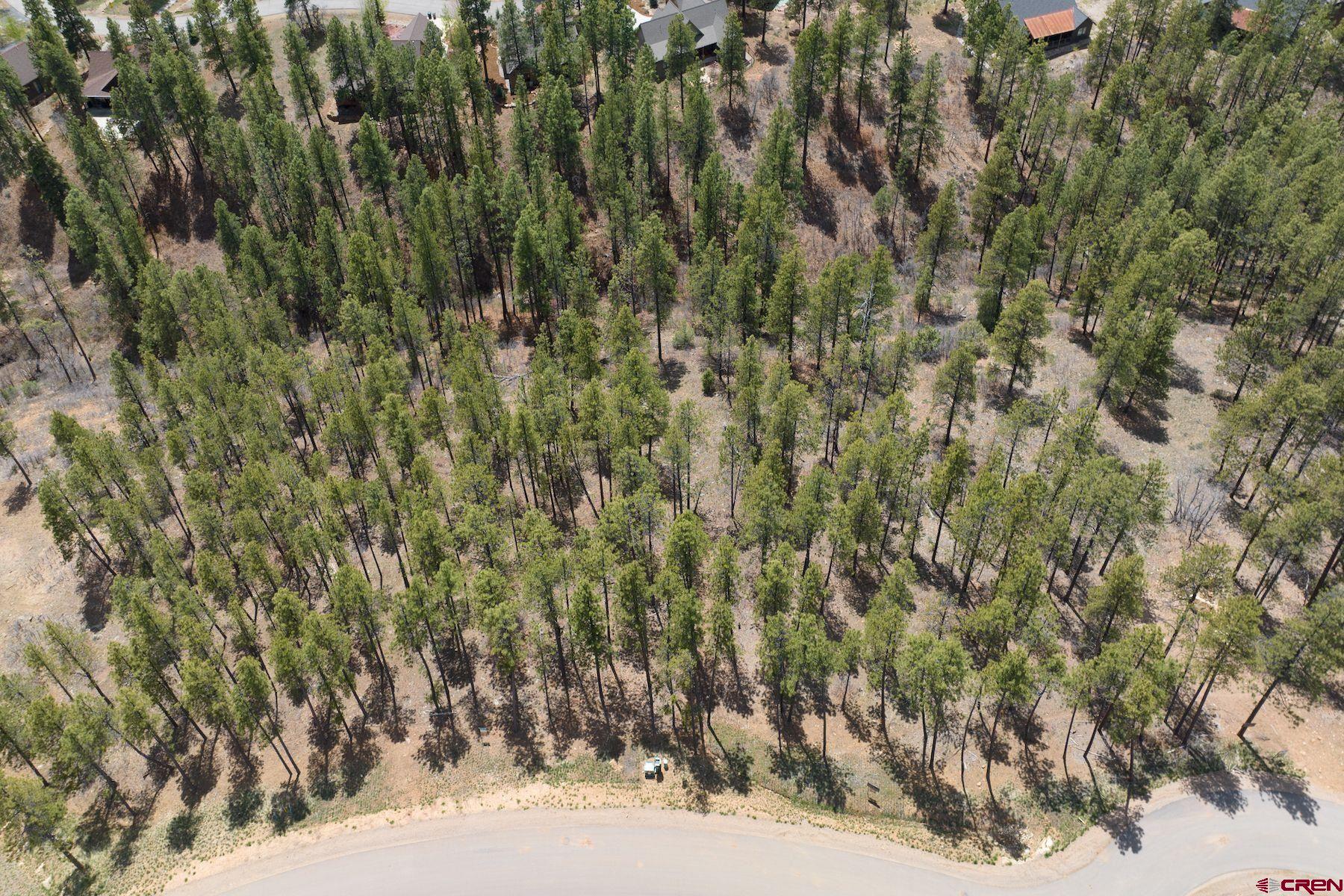1091 Red Canyon Trail Durango, CO 81301 - Photo 14 of 24 a view of a yard