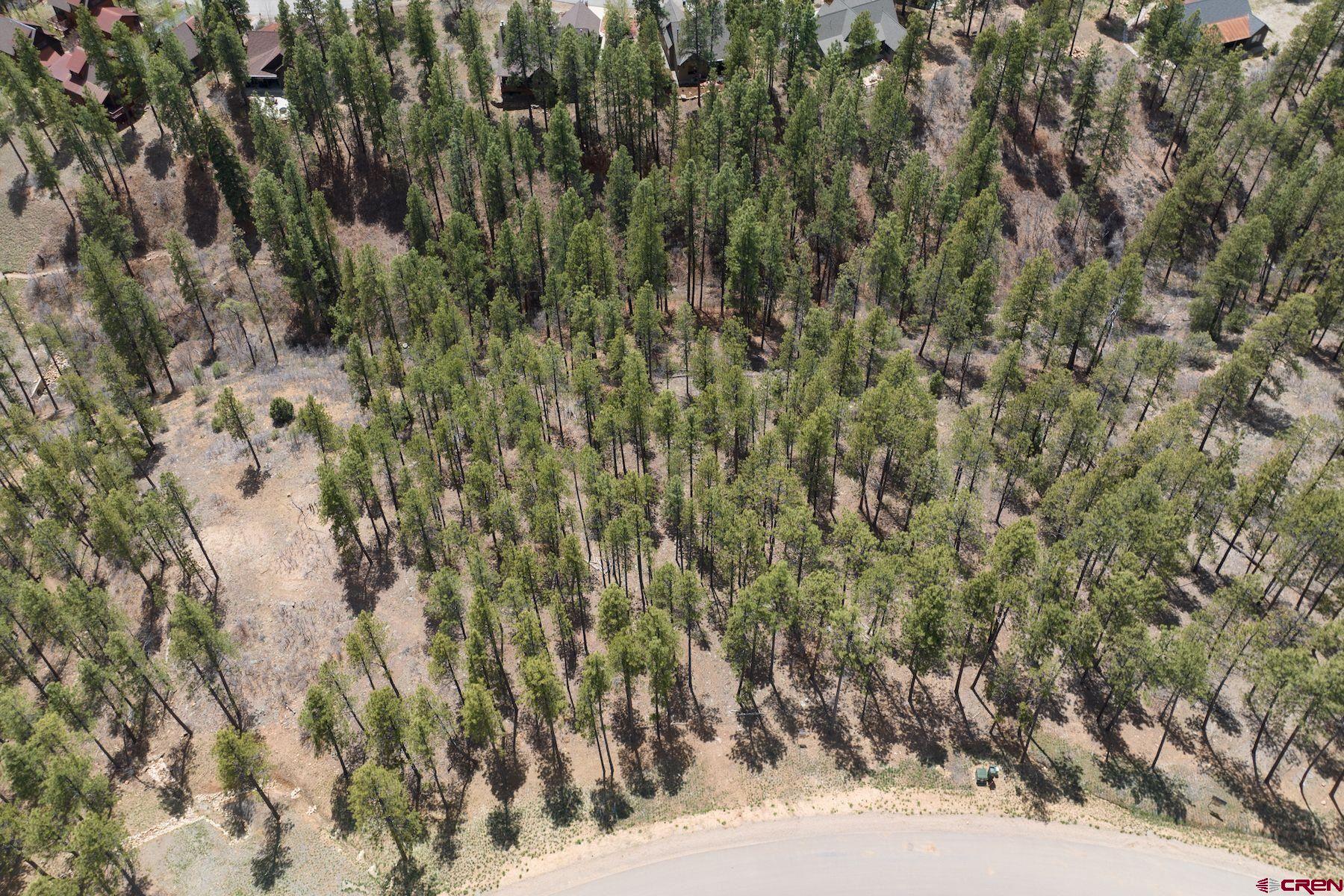 1091 Red Canyon Trail Durango, CO 81301 - Photo 15 of 24 a view of a tree
