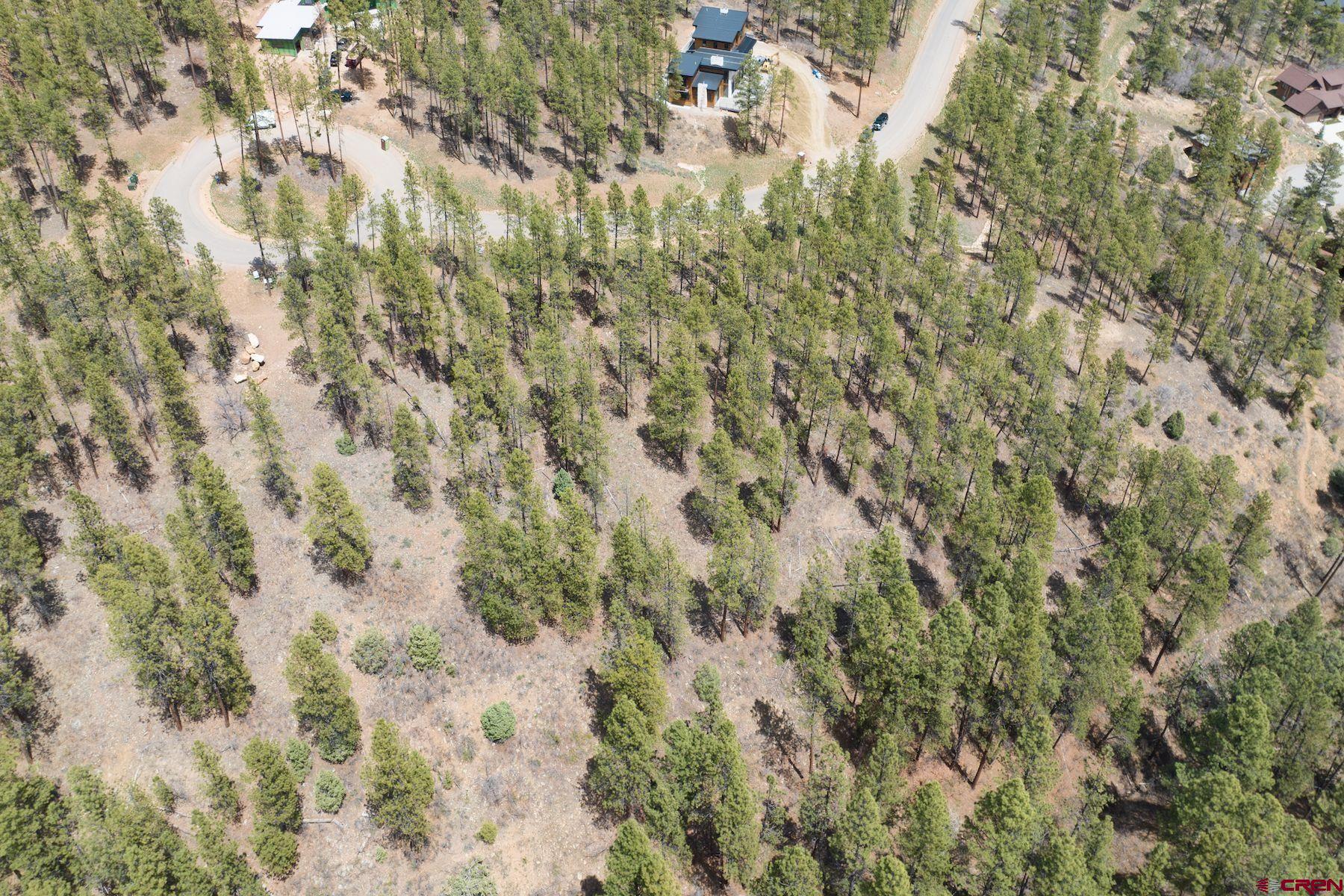 1091 Red Canyon Trail Durango, CO 81301 - Photo 18 of 24