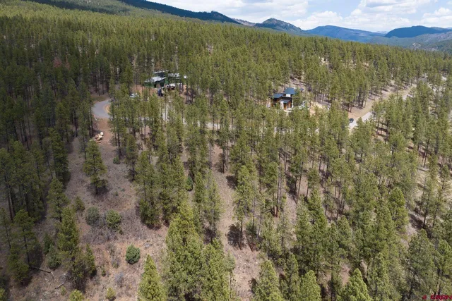 a view of a lake in middle of the forest